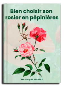 6995d158d79de ROSIERS